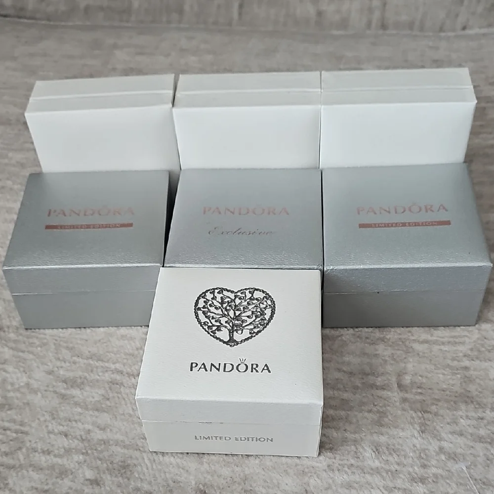 Pandora Silver and White Box Collection
